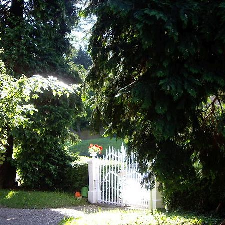 Villa Martha Badenweiler Luaran gambar